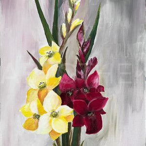 Gladiolien